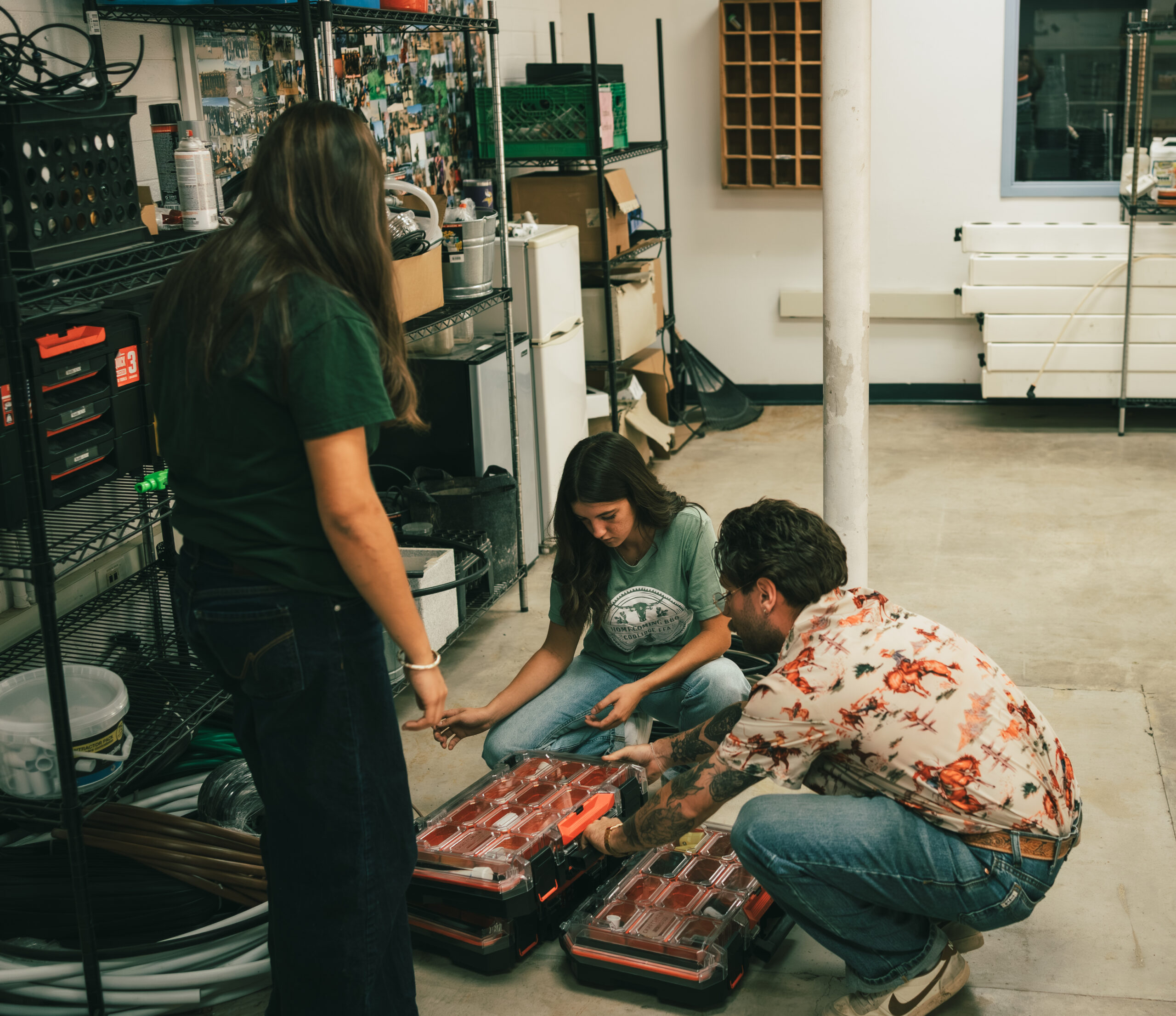 Develop a Mini Workshop