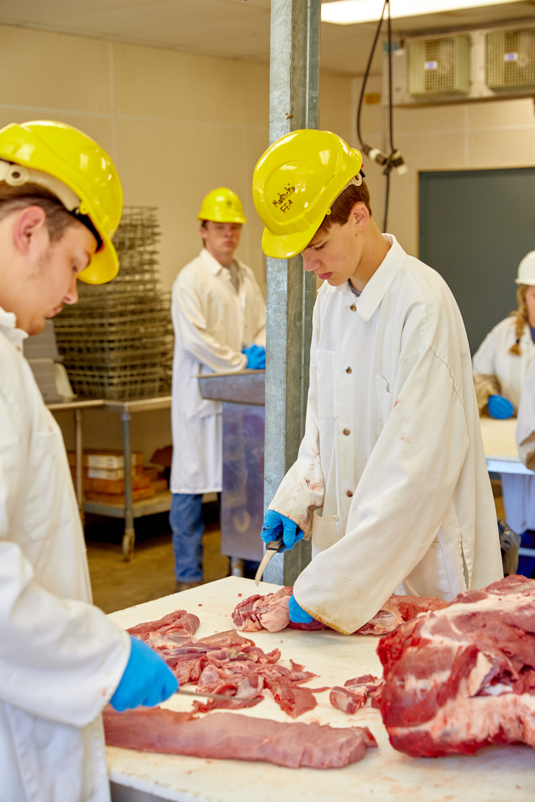 HACCP Principle 7