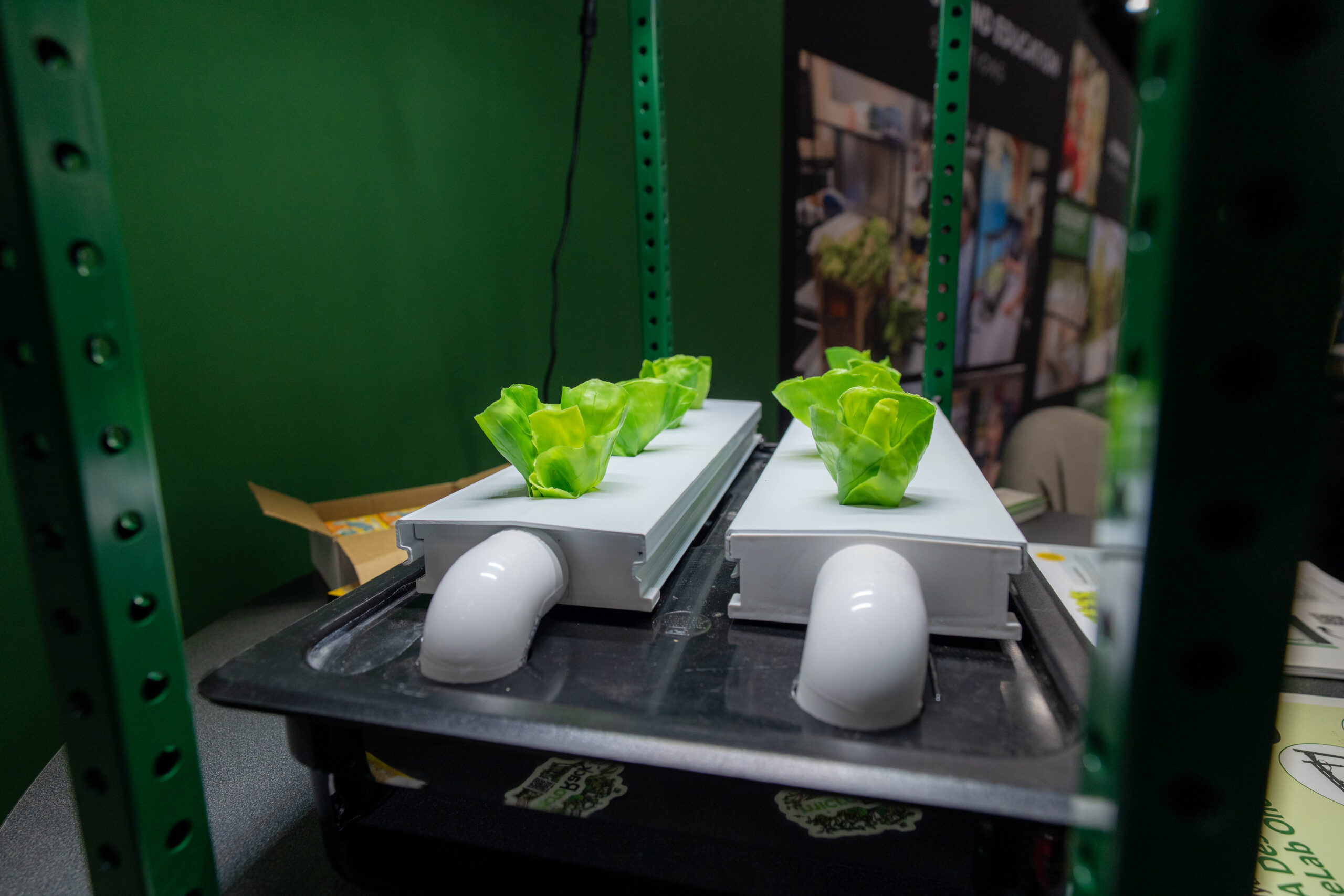 Appendix 5-I can grow food without soil