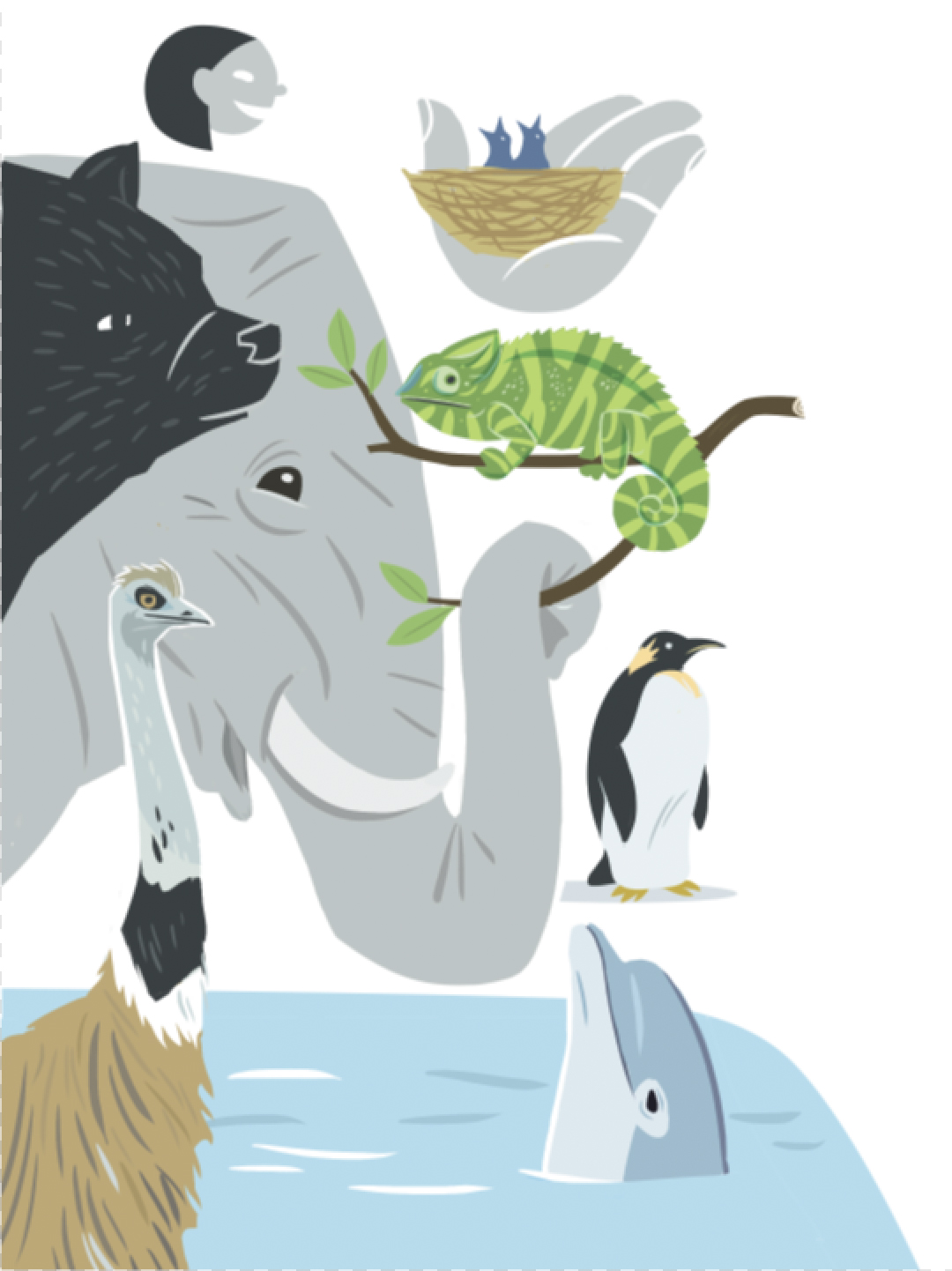 Article-Engineering for Elephants