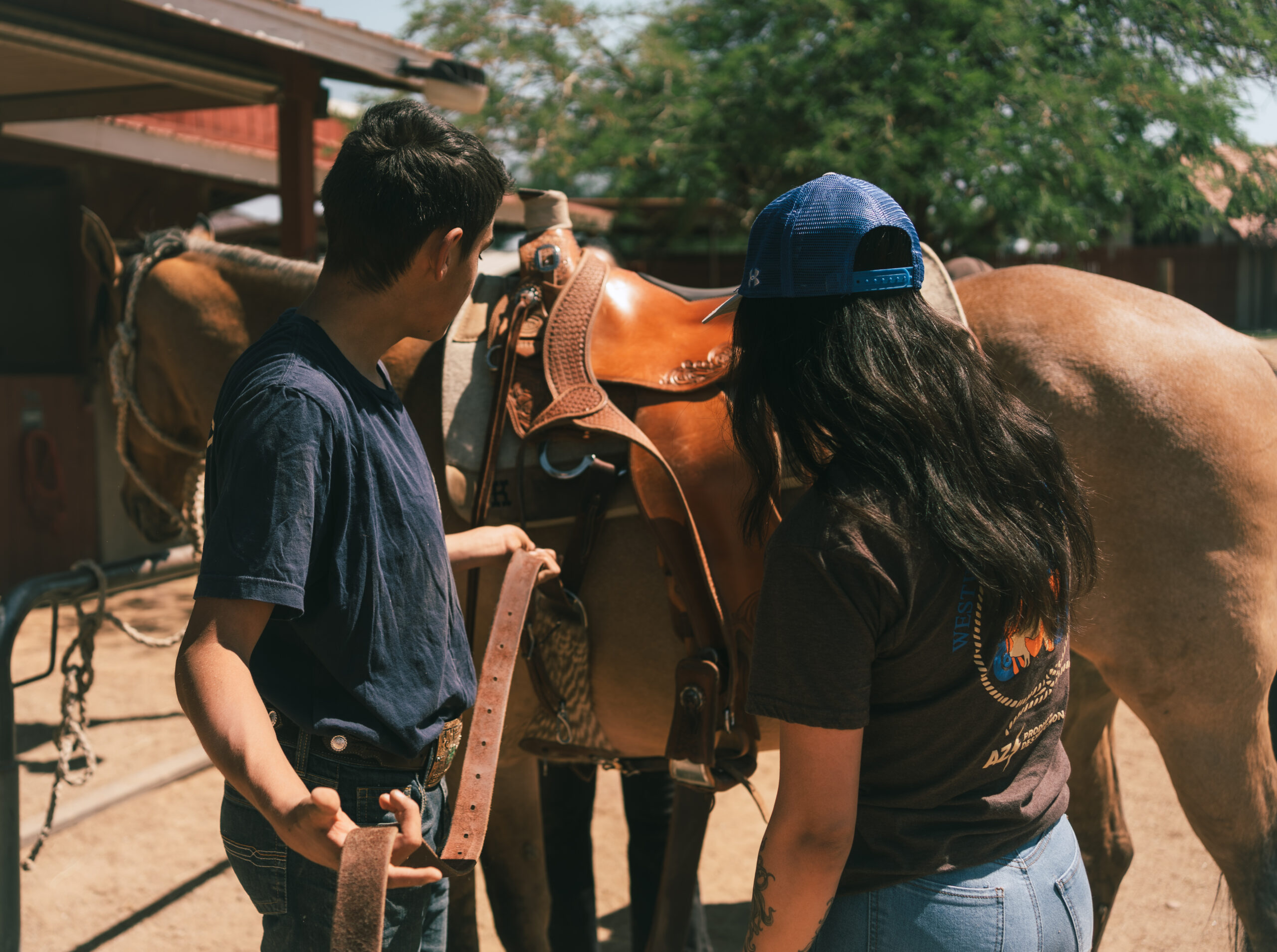 Appendix 5_ An Equine Education