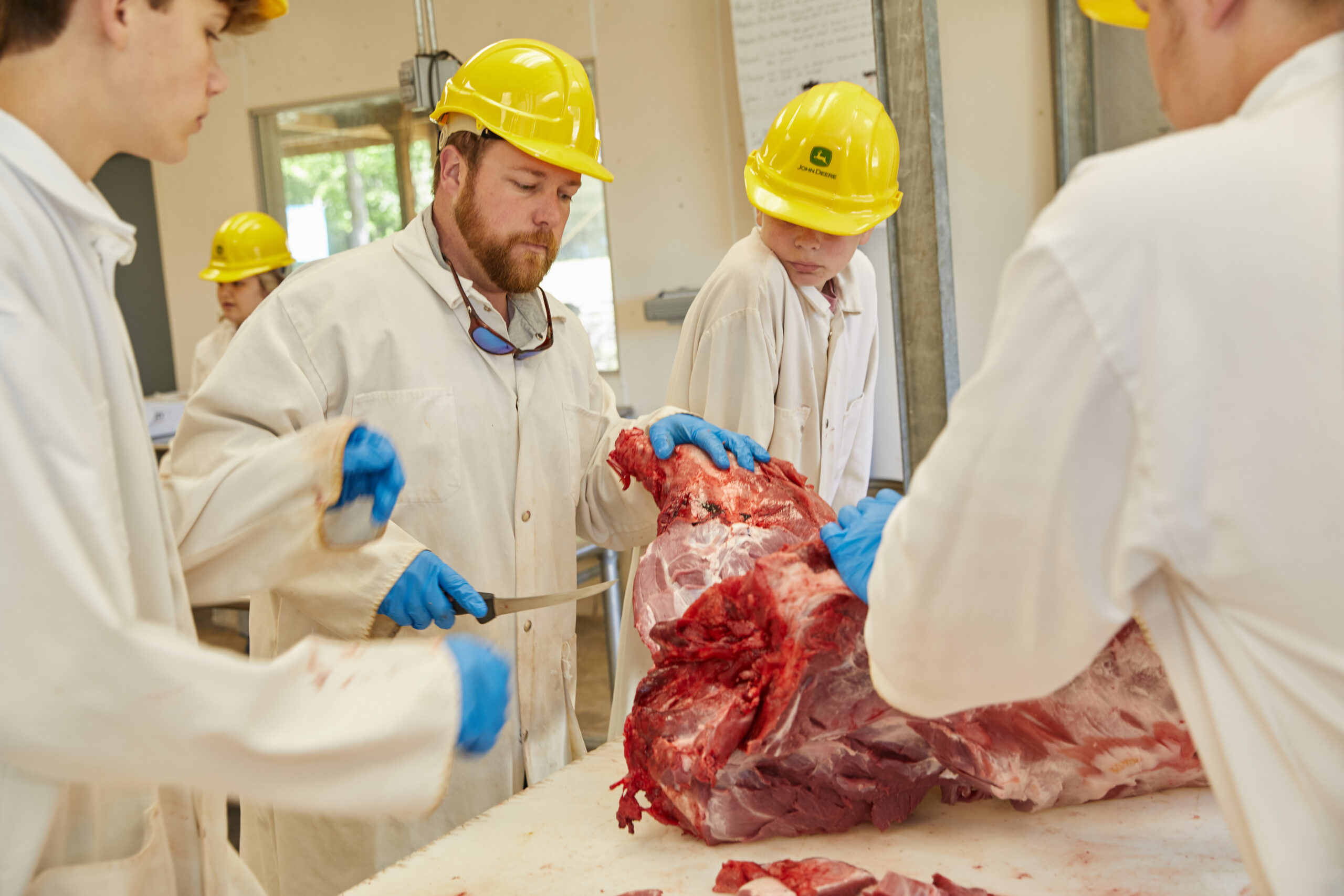 Student Activity Sheets – Tough Work for Tender Meats