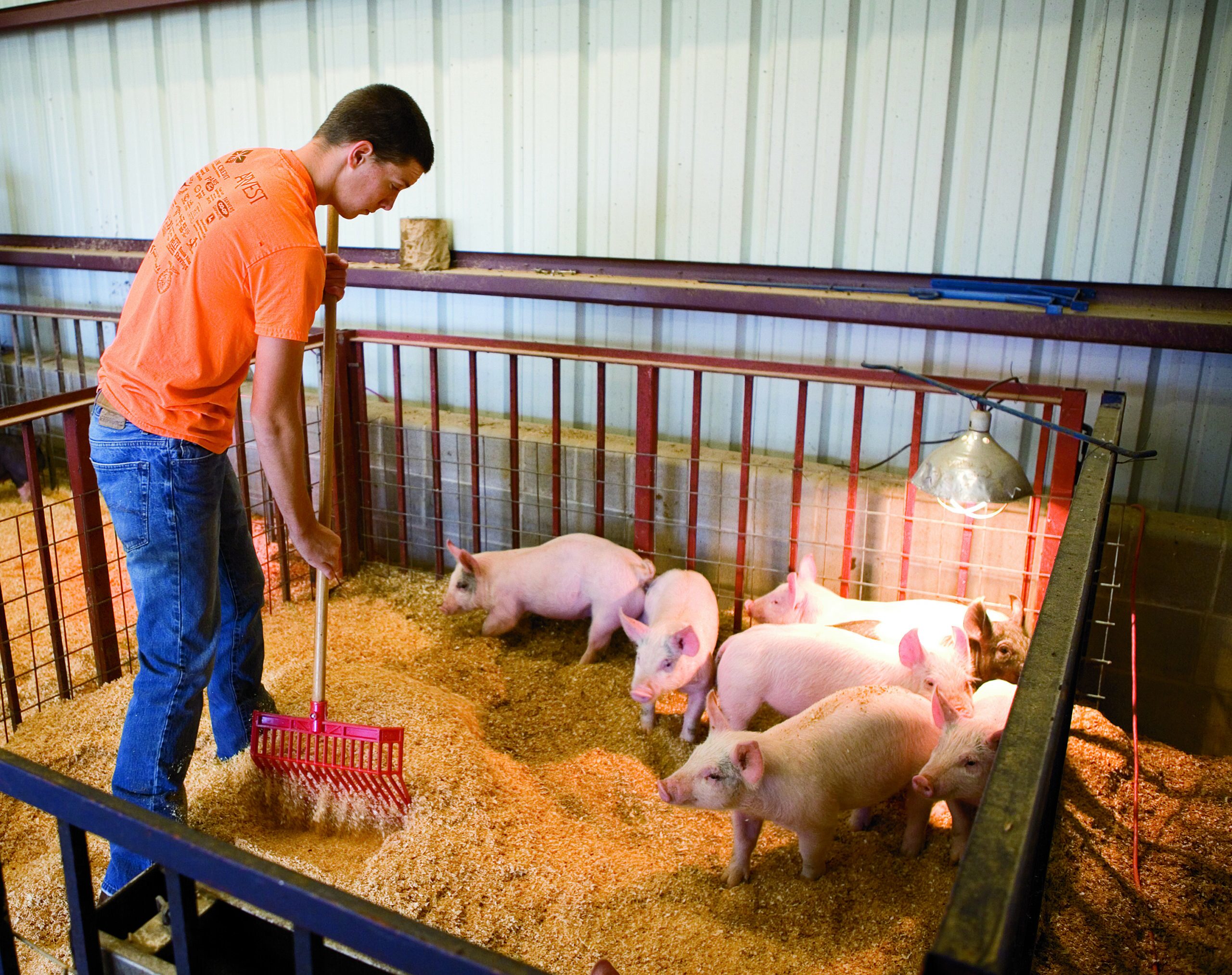 FFA Substitute Teacher Plan (Three-Day- Option 2)