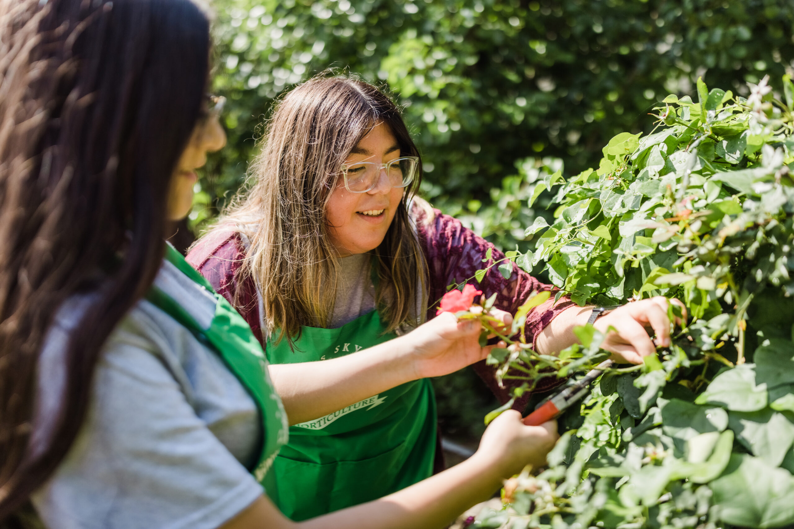 Substitute Teacher Plan- Plant Systems (Five-Day- Option 2)
