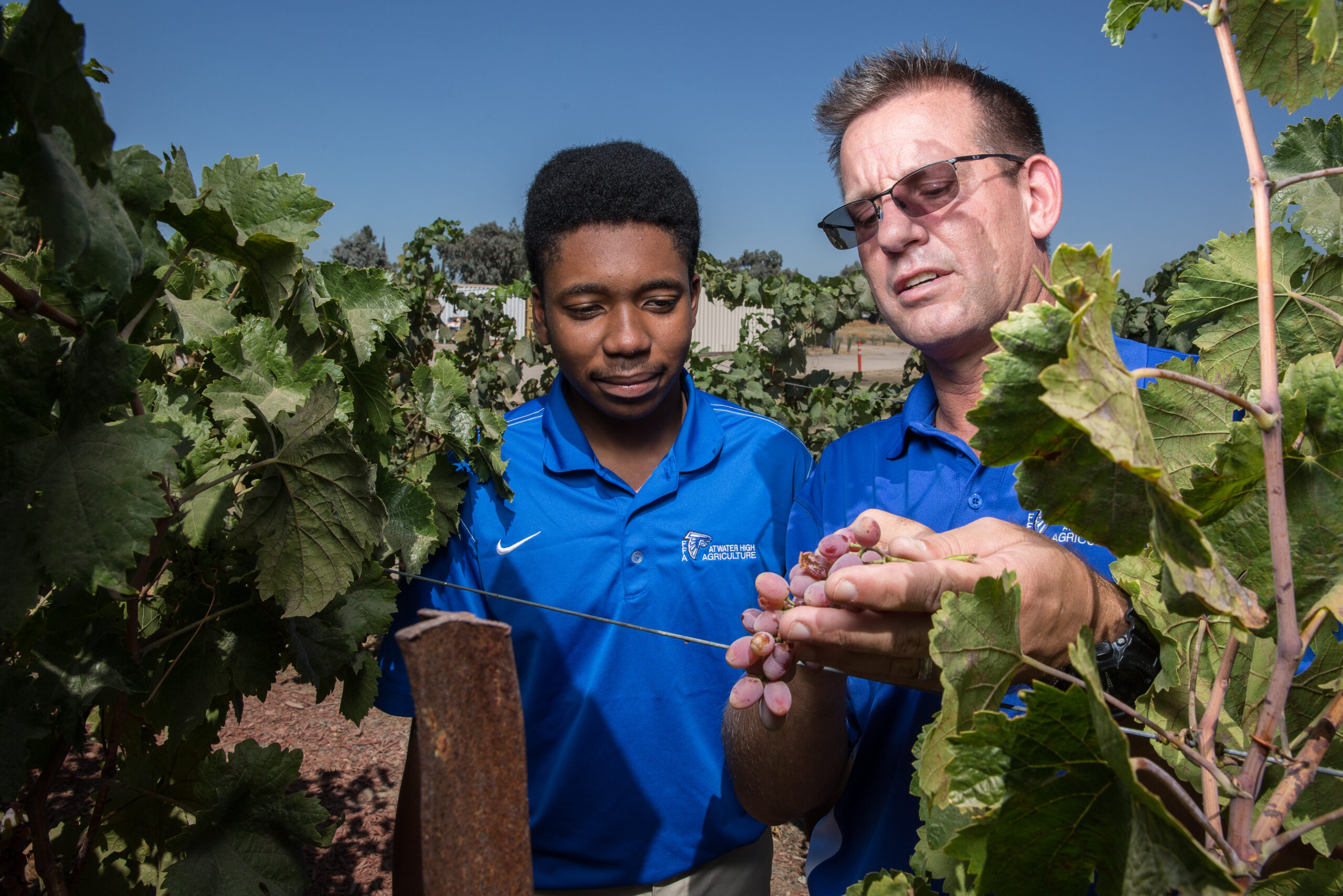 A Vineyard for a Classroom