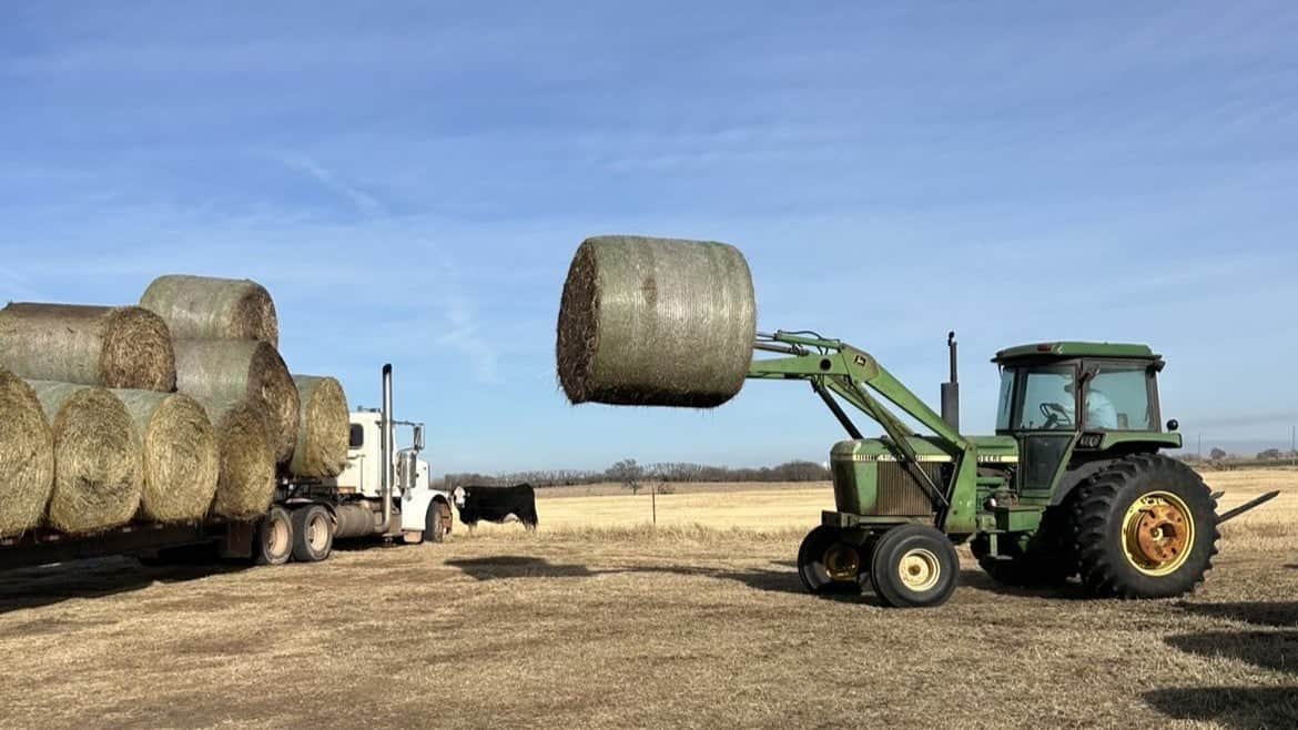 Student-Led Hay Drive Supports Farmers After Wildfire
