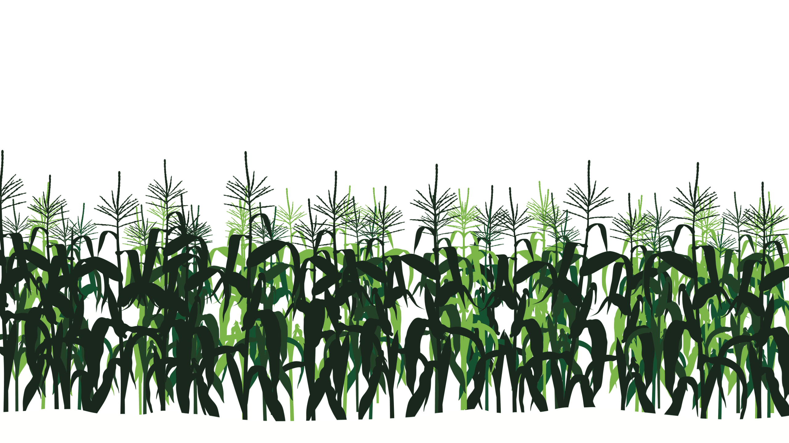 Cultivate a Career in Plant Science